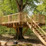 Construire une cabane dans les arbres à louer : budget complet, terrain, travaux et rentabilité